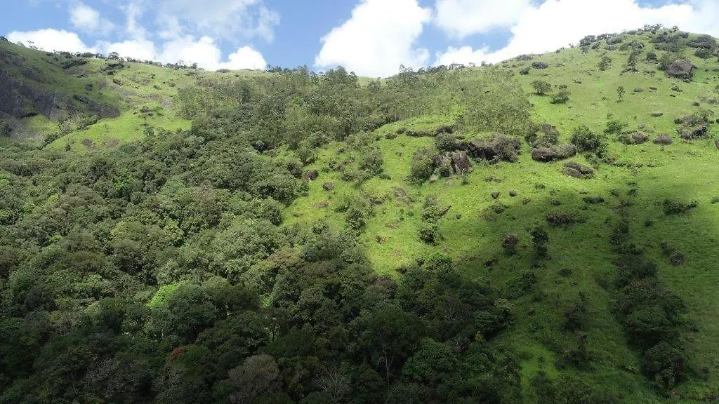 Casa Nube Hotel Munnar